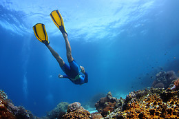 Lecques aquanaut center