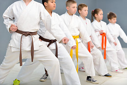 Ippon Karate Portugal