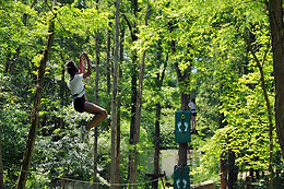 Natura Game