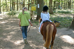 Sherwood Parc