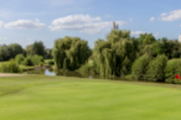Ugolf Metz