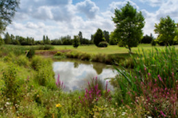 Ugolf Metz
