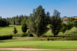 Ugolf Metz