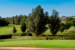 Ugolf Metz
