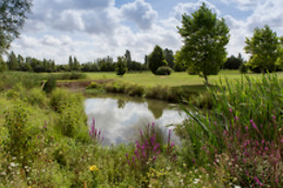 Ugolf Metz