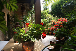 HOTEL CASA DEL MARQUES