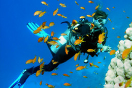 SOTACERO DIVING