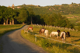 Agriturismo Il Grappolo in Langa