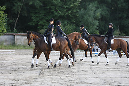 Haras maison blanche