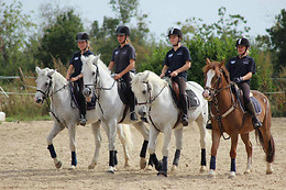 Chartres équitation