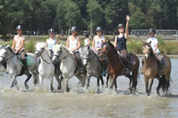 Chartres équitation
