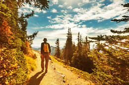 Eco Life Experience - Fuga Perfeita