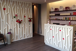 Opal spa beauté