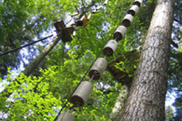 Alsace Aventure
