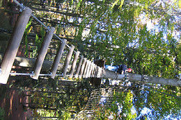 Alsace Aventure
