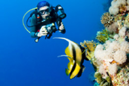 SOTACERO DIVING