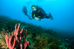 Anthia Diving Center