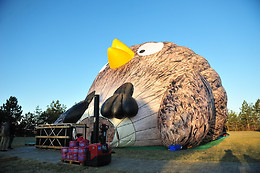 Yves Lannoy Ballooning