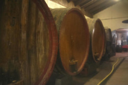 Azienda Agricola Grancollina