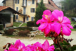 Azienda Agricola Grancollina
