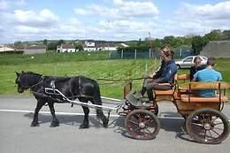Le Haras des Ouches