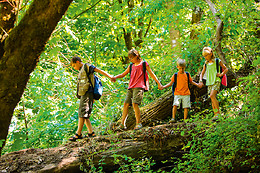 Eco Life Experience - Fuga Perfeita