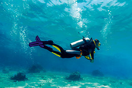 DIVE PARADIS