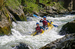 Crazy Raft