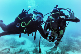 SCUBA ELX