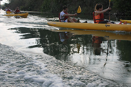 RIU A L'EBRE