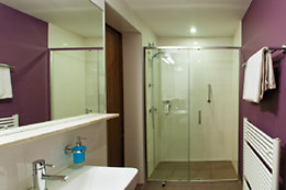 Hotel Carol