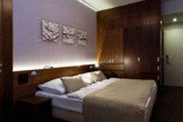Hotel Carol