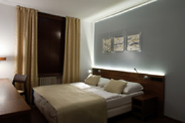 Hotel Carol