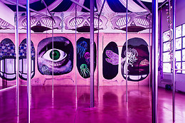 Pole Dance Milano Phi