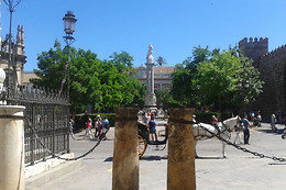 SEVILLA 365
