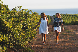 Tenuta Gorghi Tondi