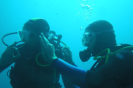 Nautilus dive center