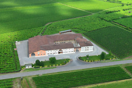 Azienda Agricola Ca' Rugate