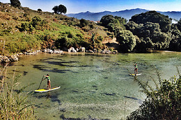 ESCUELA ASTURIANA DE SURF