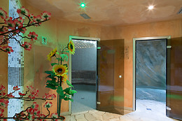 Hotel Alpine Mugon****