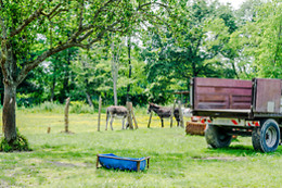 Domaine des parisses