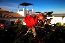 CASA RURAL CASA CAMPANA