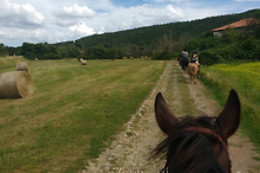 ASD La Natura A Cavallo