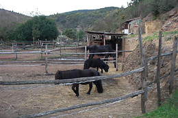 ASD La Natura A Cavallo