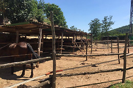 ASD La Natura A Cavallo