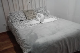 HOSTAL CIEMPOZUELOS