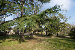 Domaine de l'Oie Rouge
