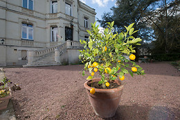 Domaine de l'Oie Rouge