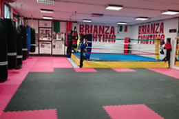 Brianza Fighting