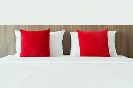 Ibis Styles Guyancourt Versailles